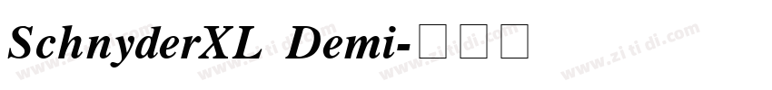 SchnyderXL Demi字体转换